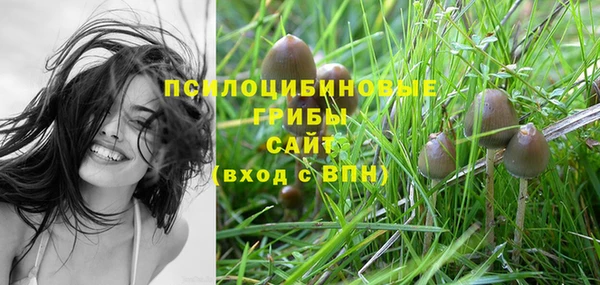 PSILOCYBIN Беломорск