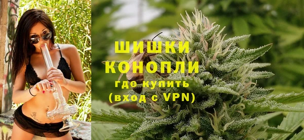 стаф Богородицк