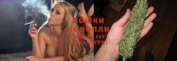 дурь Богданович