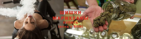 стаф Богородицк