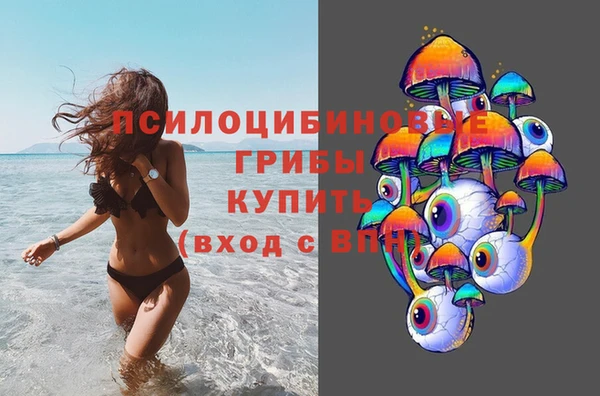 дурь Богданович