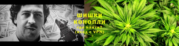 PSILOCYBIN Беломорск