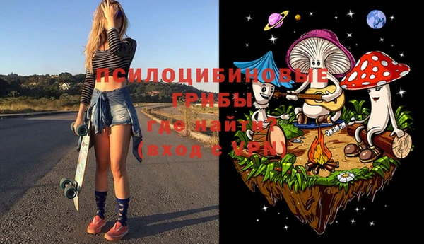 дурь Богданович